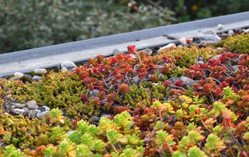 the cost of Rake End green roof installation