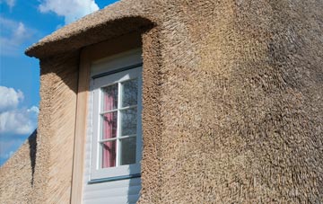 Rake End thatch roof disadvantages